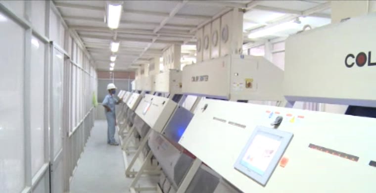 Quy trình chế biến gạo xuất khẩu khép kín tại nhà máy Gentraco