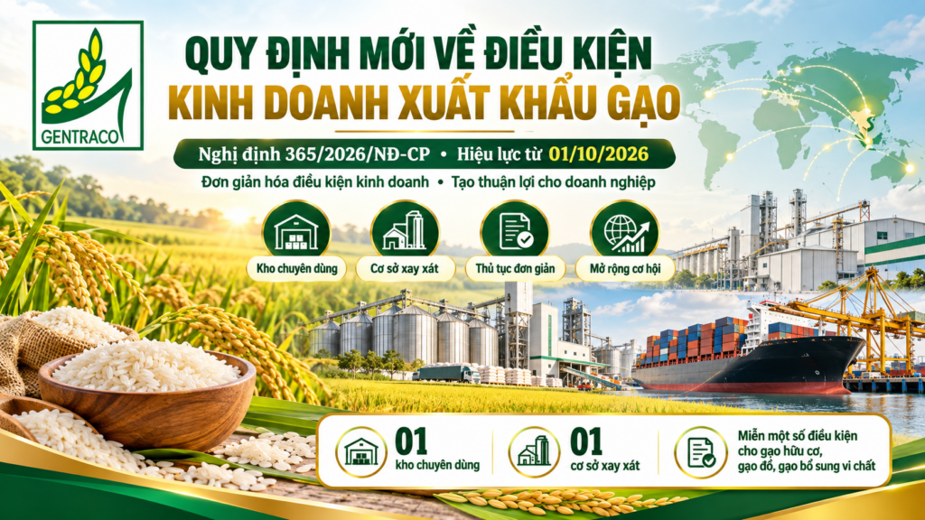 Quy định mới về điều kiện kinh doanh xuất khẩu gạo