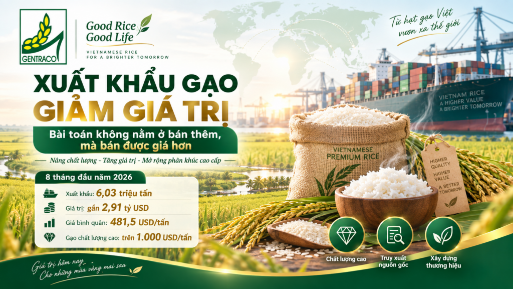 Xuất khẩu gạo giảm giá trị: Bài toán không nằm ở bán thêm, mà bán được giá hơn